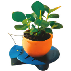 Sistem de udare automata pentru flori Ferrari Group 38391