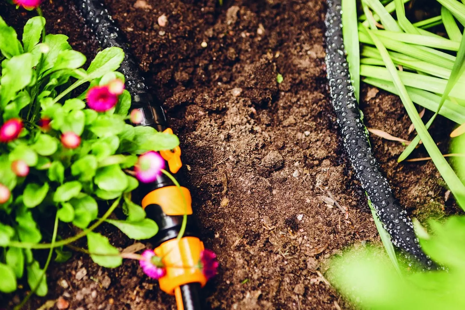 Set pentru udare Fiskars 10631 (Black) - 4