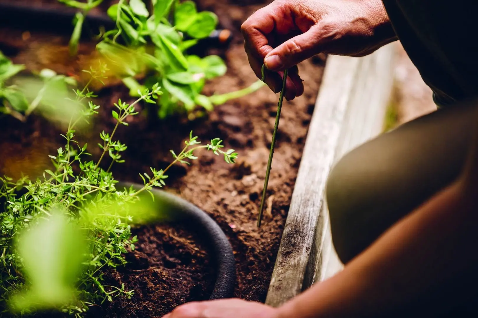 Set pentru udare Fiskars 10631 (Black) - 5