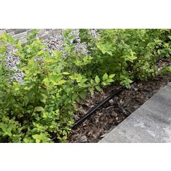 Furtun plat de picurare Flo 89371 15m (Black) Thumb