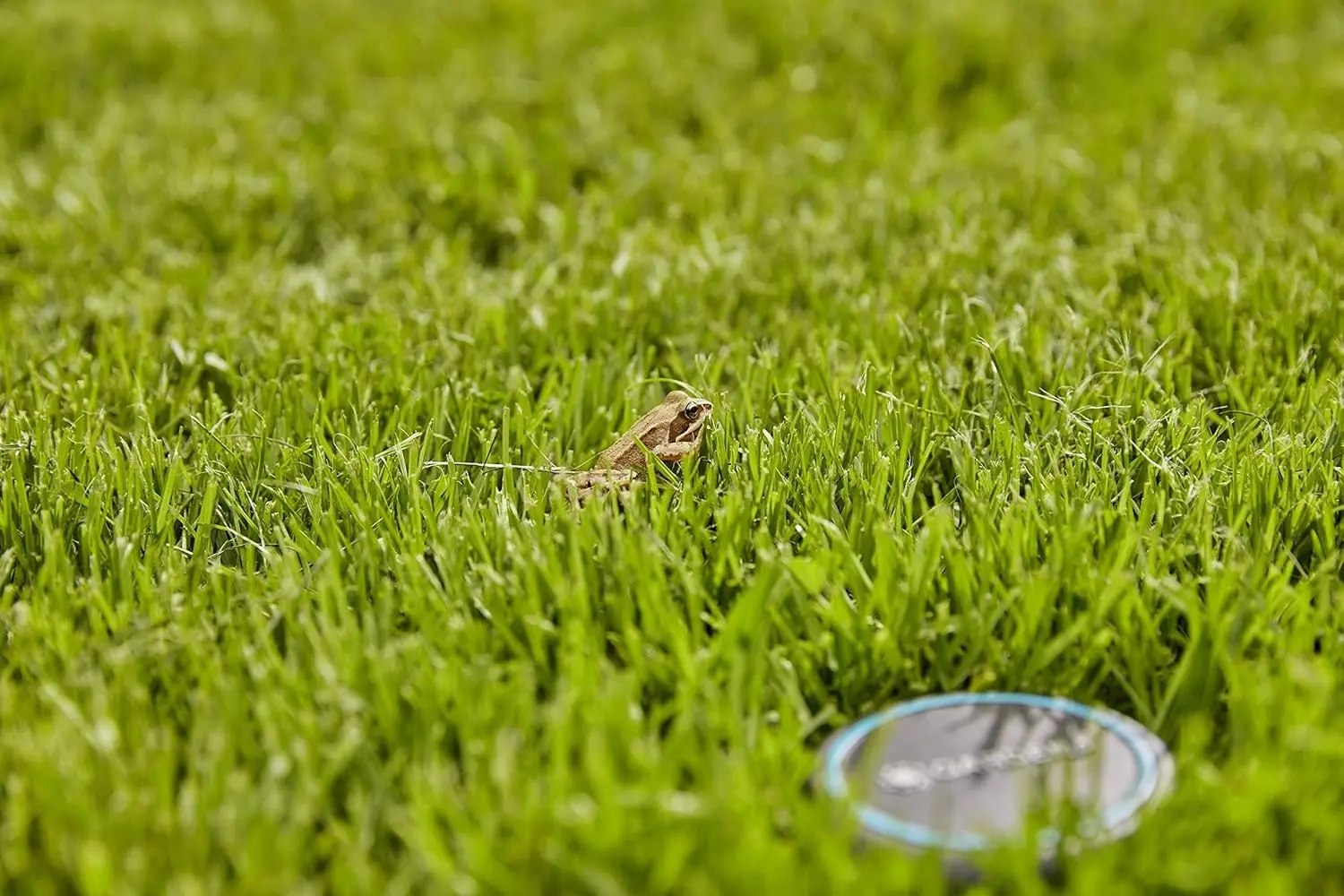 Датчик влажности почвы Gardena 1867-20 (Black)