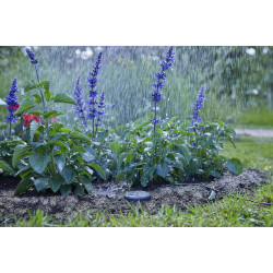 Датчик влажности почвы Gardena 1867-20 (Black) Thumb