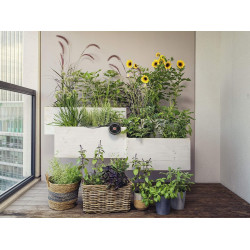 Set de irigare cu energie solara Gardena AquaBloom 13300-20 Thumb