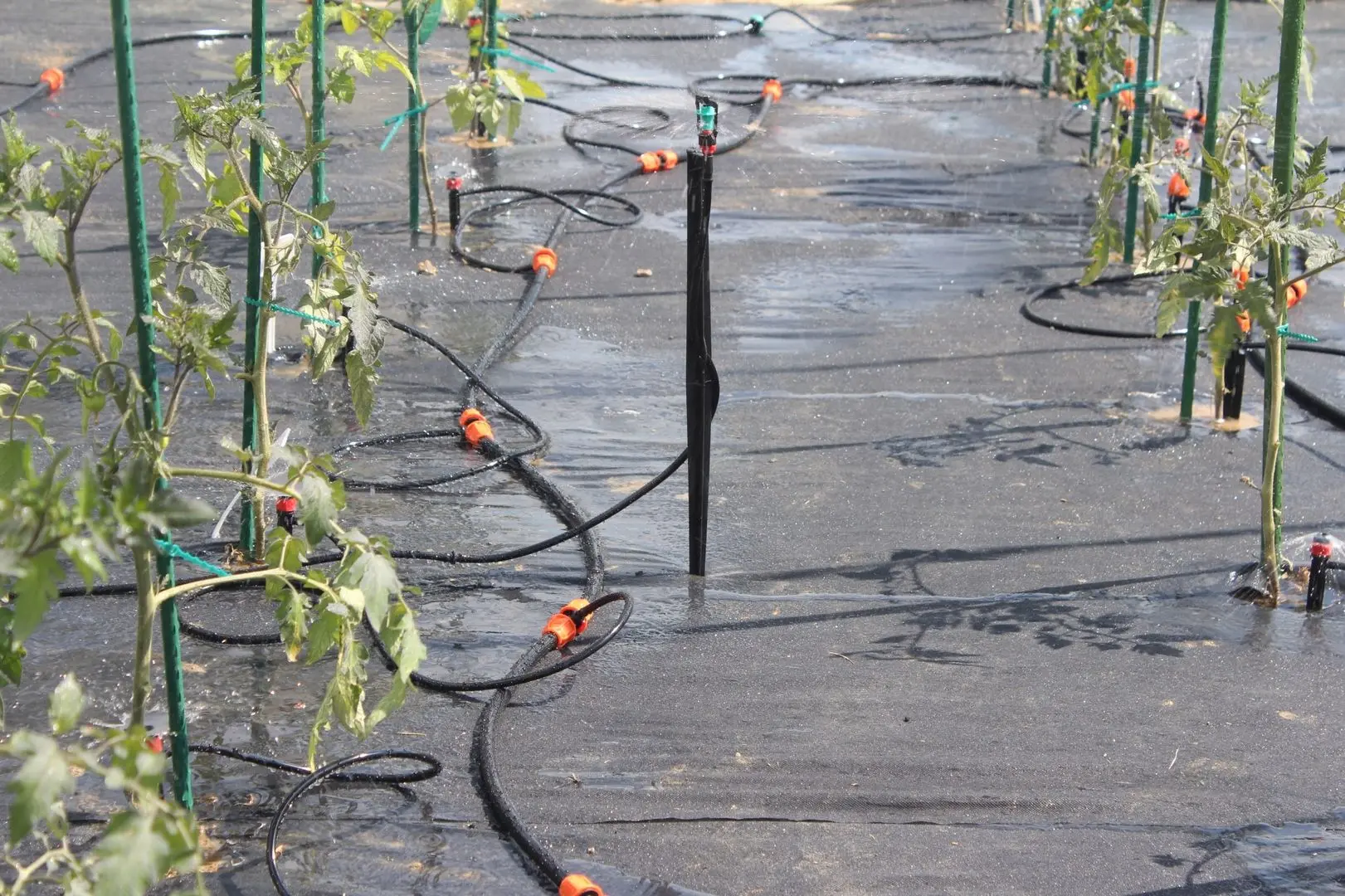 Набор для полива GardenLine RIG5041 - 5