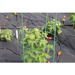 Набор для полива GardenLine RIG5041 Thumb