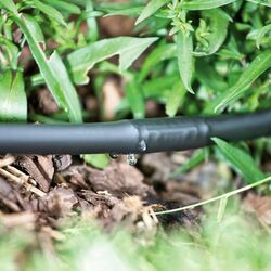 Шланг для капельного полива Rehau 206999 100м Thumb