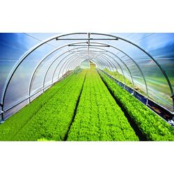 Тепличная пленка 10х30 (Green) Thumb