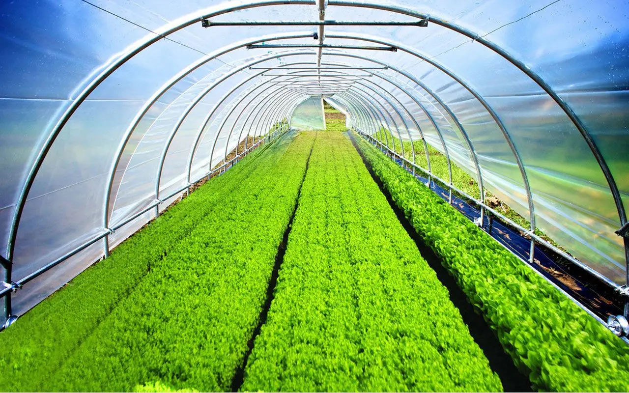 Тепличная пленка 10х30 (Green) - 3