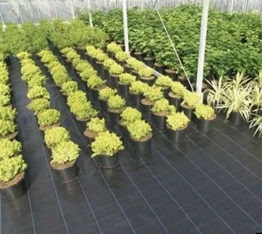 Агроволокно Greentech 90gsm 0.35x300 (Black) - 3
