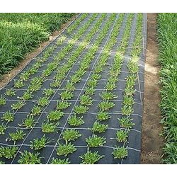 Агроволокно Greentech 90gsm 3x100 (Black) Thumb