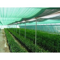 Plasa de umbrire Greentech Umbra 95% 140gr 1.7x50 (Green) Thumb