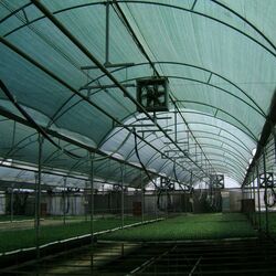 Сетка затеняющая Greentech Umbra 75% 6x100 (Green) Thumb