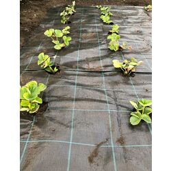 Pinza pentru mulcire Juta 2.1x100m (Black) Thumb