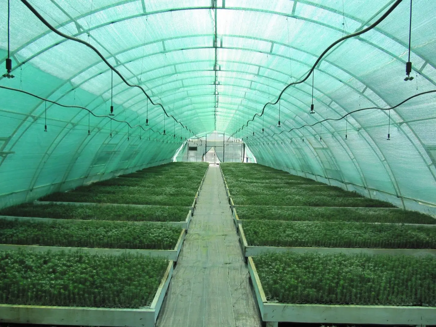 Plasa de umbrire 30% 3x100 (Green)