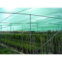 Plasa de umbrire 30% 3x100 (Green) Thumb