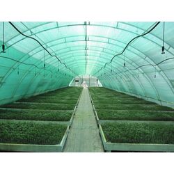 Plasa de umbrire 40% 8x50 (Green) Thumb