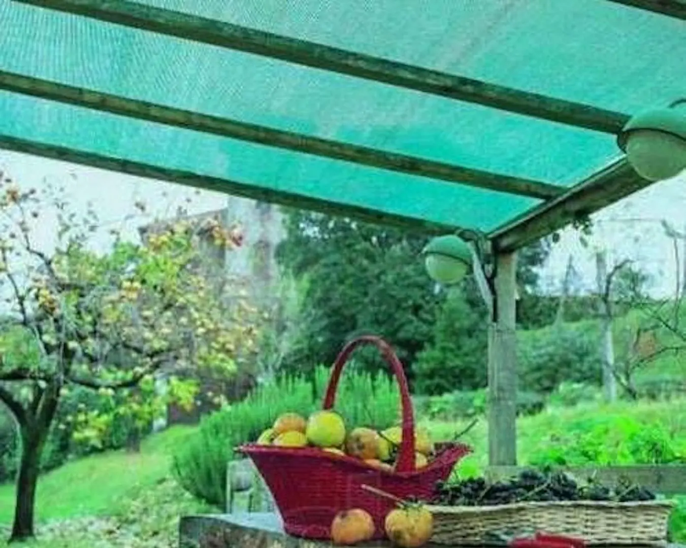 Сетка затеняющая 60% 4x100 (Green)