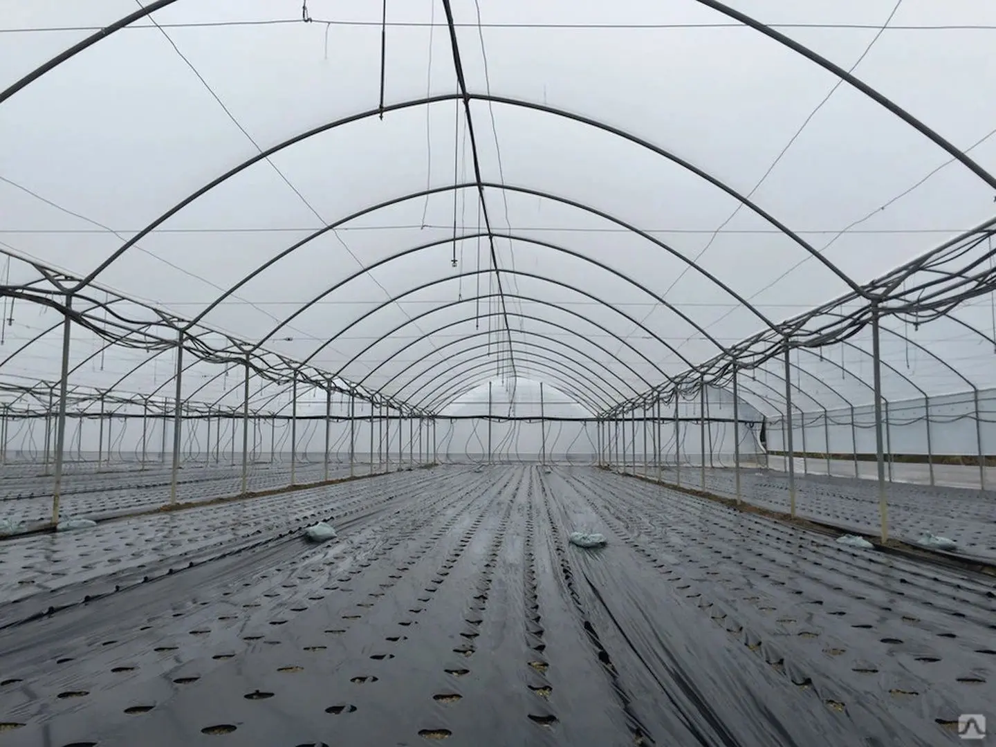 Pelicula pentru sere 3x300 (Transparent)