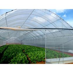 Тепличная плeнкa 3x50 (Transparent) Thumb