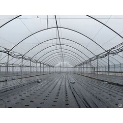 Тепличная плeнкa 3x50 (Transparent) Thumb