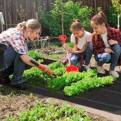 Ткань для мульчирования Outsunny 845-913 2x25m (Black) Thumb