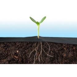 Агроволокно Plonos 50gr/m2 1.6x100m (Black) Thumb