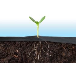 Мyльчиpyющaя плeнкa Plonos 4901 1.6x50m (Black) Thumb