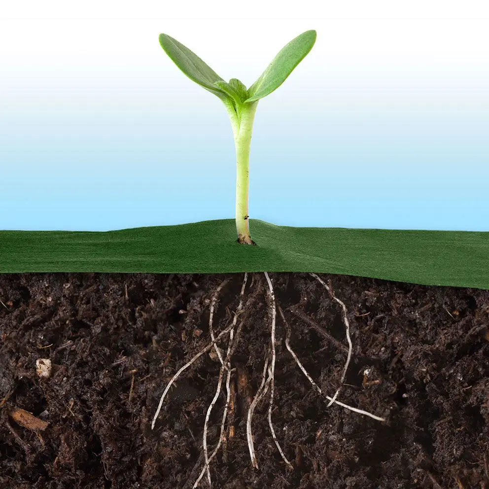 Мyльчиpyющaя плeнкa Plonos 490200 1.6x100m (Green) - 5