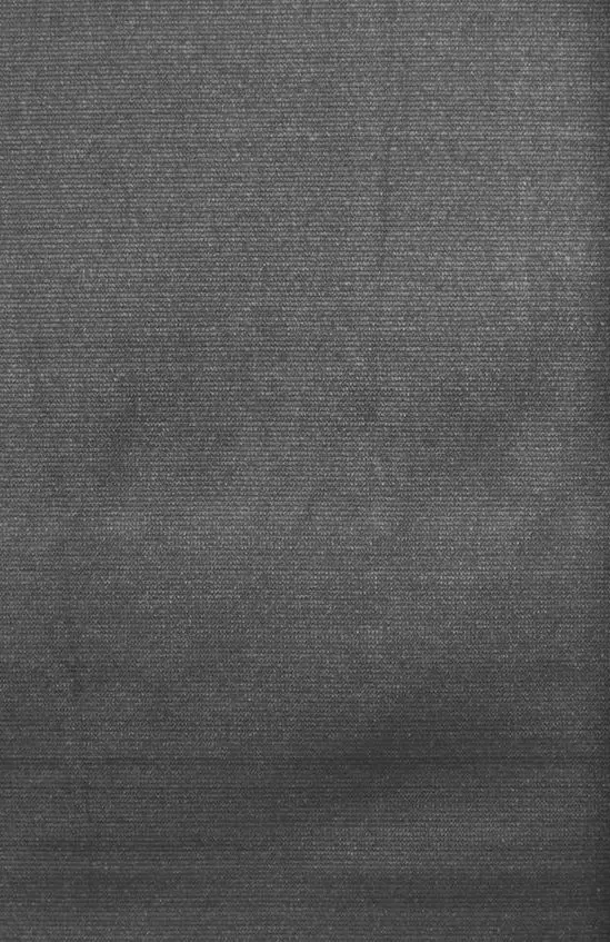 Plasa de protectie decorativa Strend Pro 217288 (Black)