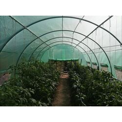 Pelicula pentru sera Tehno MS 10001775 4x3x2m (Green) Thumb