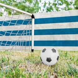 Plasa de umbrire Tenax Soleado Pro 90% 4x100 (White/Blue) Thumb