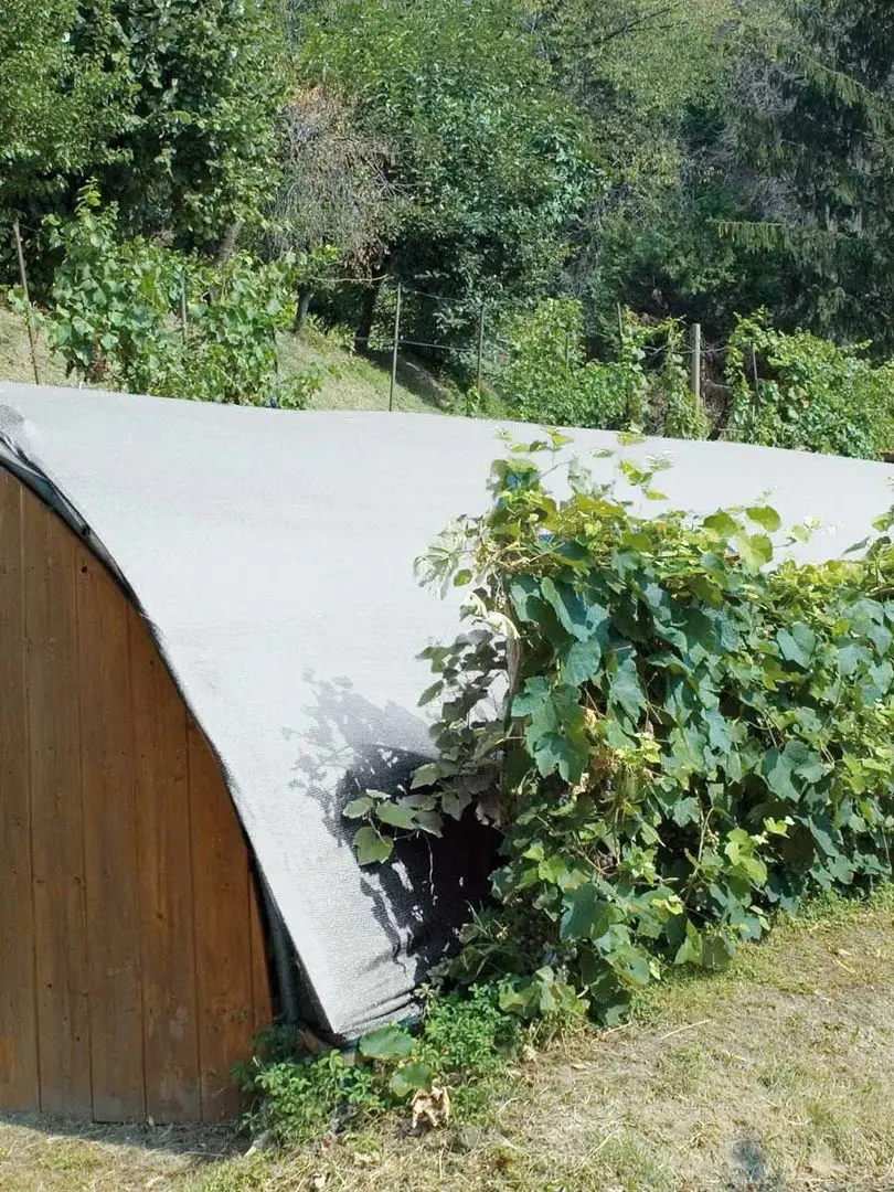 Plasa de umbrire Tenax Soleado 90% 1.5x50 (White) - 4