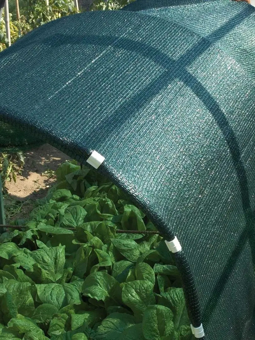 Plasa de umbrire Tenax Soleado Corten 90% 1x100 (Green) - 2