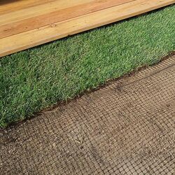 Plasa de protectie Tenax Aviary 1.5X200 (Black) Thumb