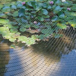 Plasa de protectie Tenax Aviary 1.5X200 (Black) Thumb