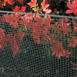 Plasa de protectie Tenax Ranch 1.5x50 (Green) Thumb