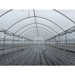 Pelicula pentru sere anti-condesat 10х50 150 mkm (White) Thumb