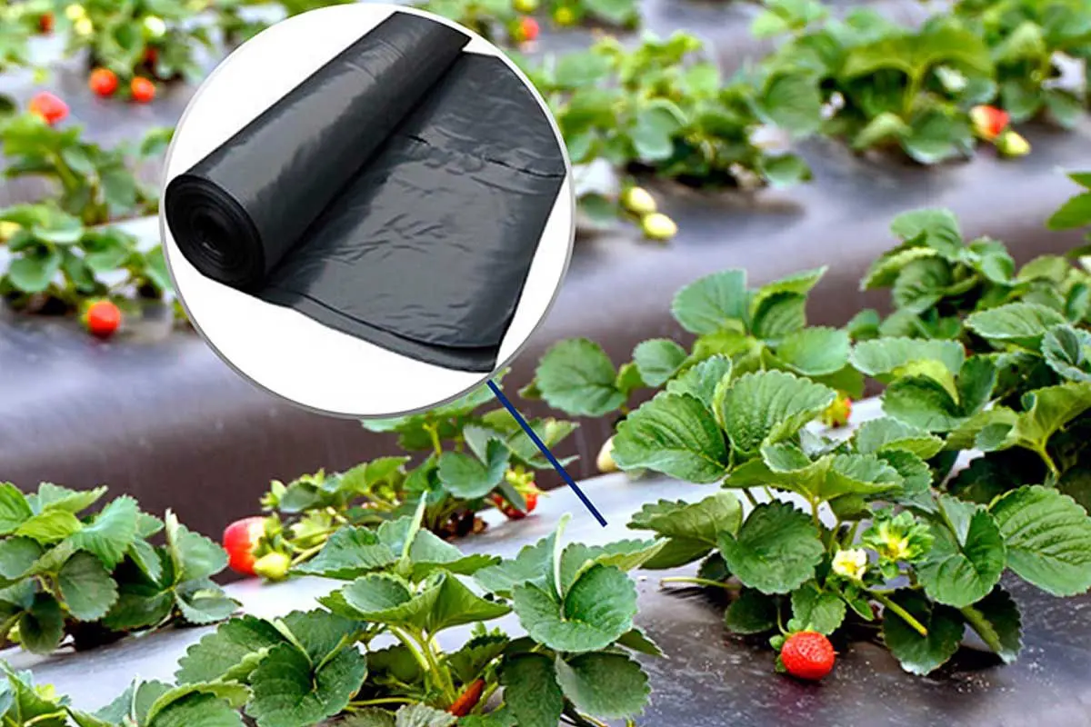 Pelicula pentru sere Vatan cl.1 30 1x400m (Black)