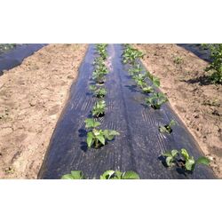 Pelicula pentru sere Vatan cl.1 30 1x400m (Black) Thumb
