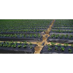 Pelicula pentru sere Vatan cl.1 30 1x400m (Black) Thumb