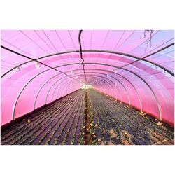 Pelicula pentru sere Vatan 120 10x35m (Pink) Thumb