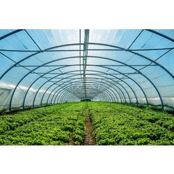 Pelicula pentru sere Vatan 120 12x30м  UV+AB+LD (Green) Thumb