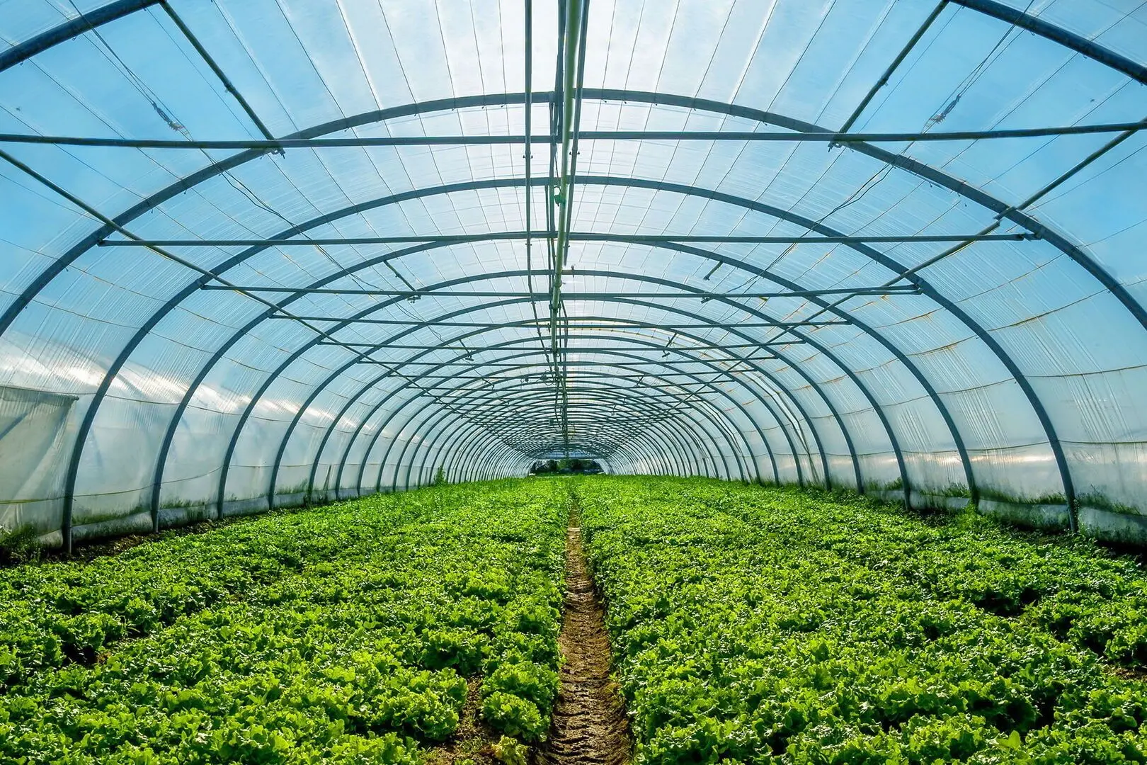 Pelicula pentru sere Vatan 120 12x30м  UV+AB+LD (Green)