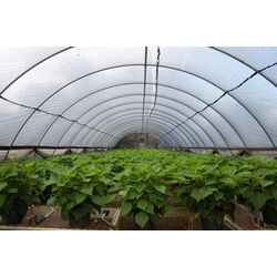 Тепличная пленка Vatan 120 3x120м (White) Thumb