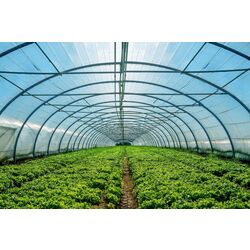 Тепличная пленка Vatan 120 6x55м (Transparent) Thumb