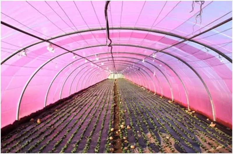 Pelicula pentru sere Vatan 120 8x45m (Pink)