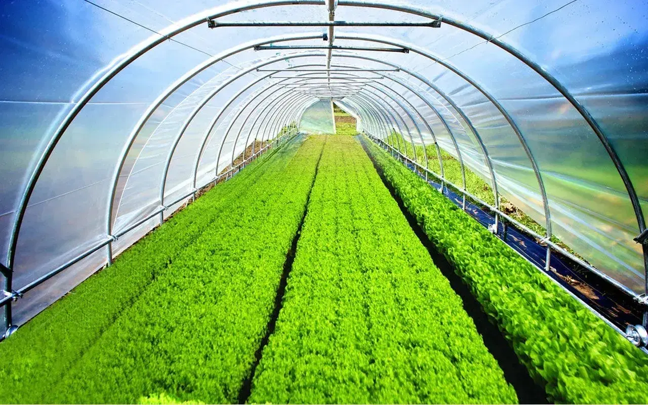 Pelicula pentru sera Vatan 4C39386BC 8x45m (Green)