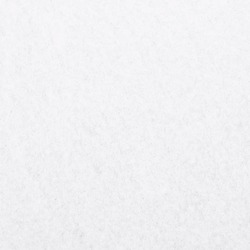 Agrofibra VidaXL 4009846 (White) Thumb