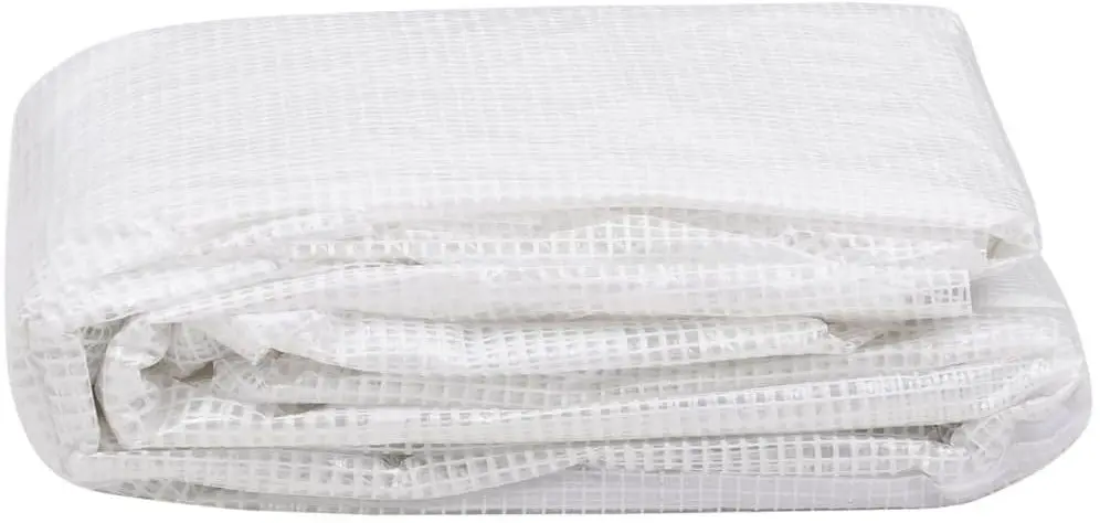 Pelicula pentru sera VidaXL 316434 3x1.5x2m (Transparent)