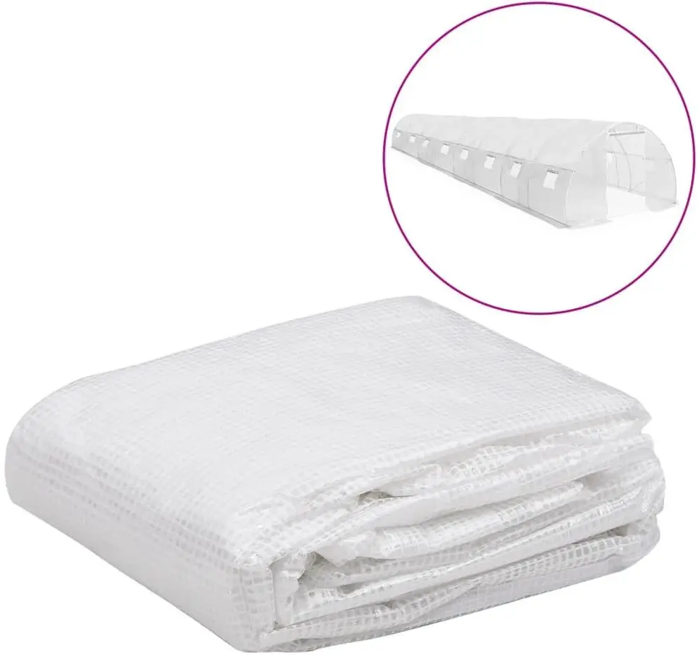 Pelicula pentru sera VidaXL 316439 3x12x2m (Transparent)